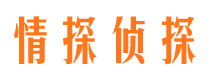 方山侦探公司